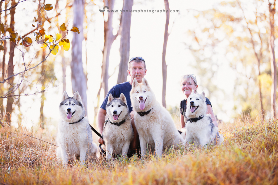 pet-photographer-husky-15