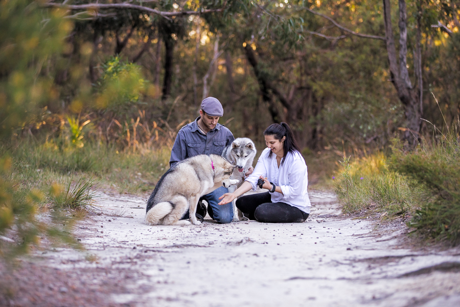 Freja & Kiba – Mini Session Sutherland Shire