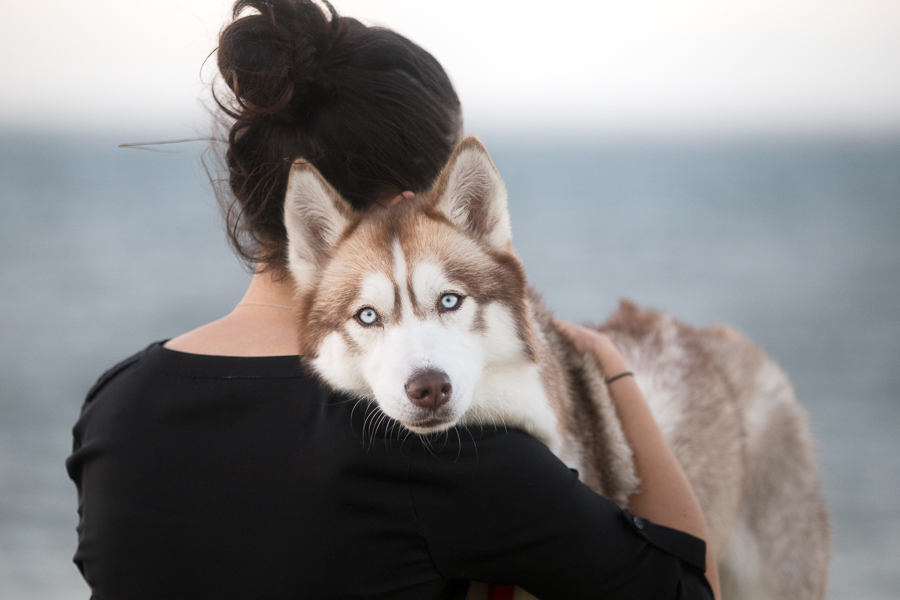 Lisa – Sutherland Shire Pet Photographer