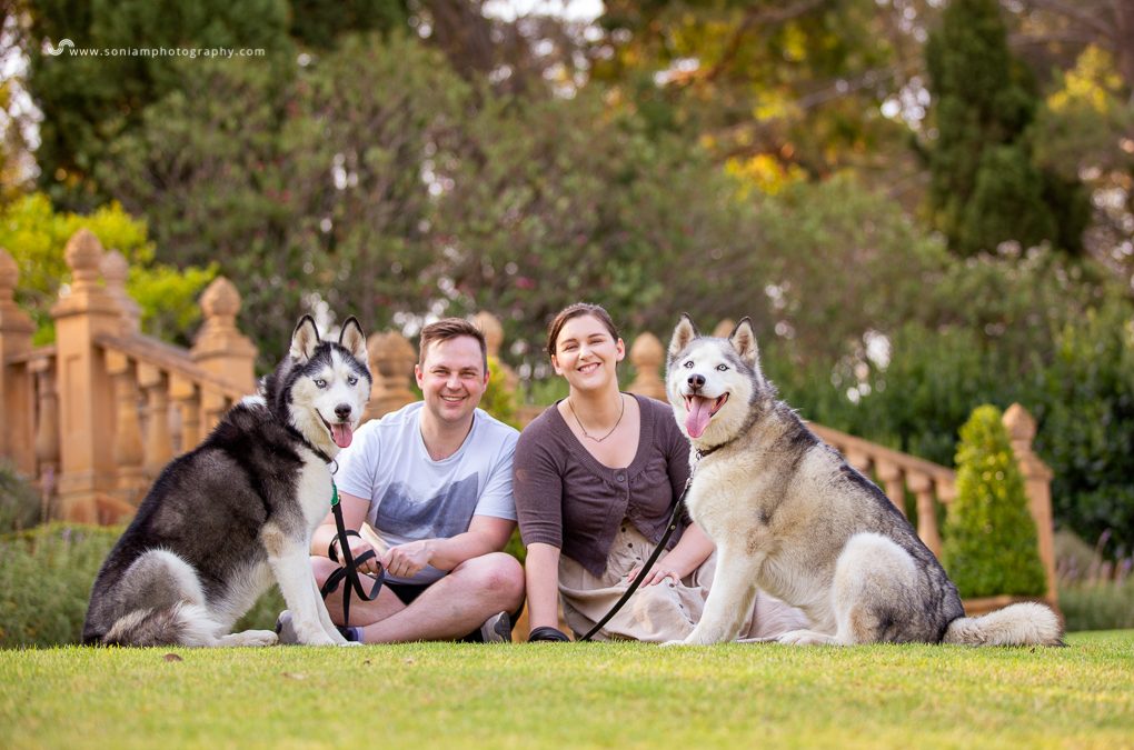 Beau & Rowdy – Photography Session at Fagan Park