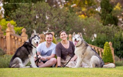 Beau & Rowdy – Photography Session at Fagan Park