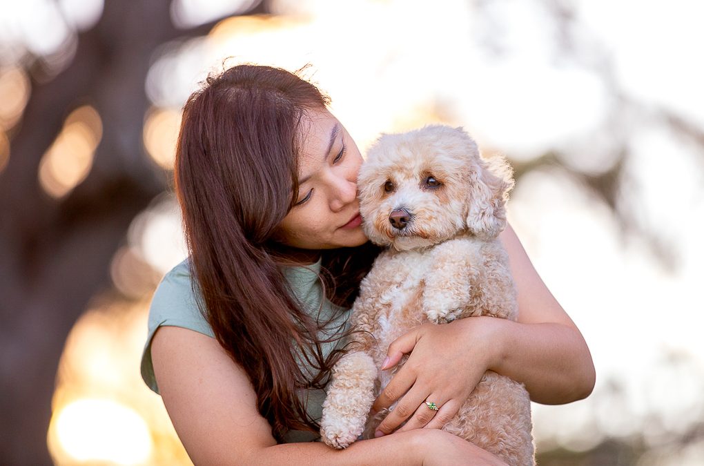 Chino’s Photo Session at Carss Park