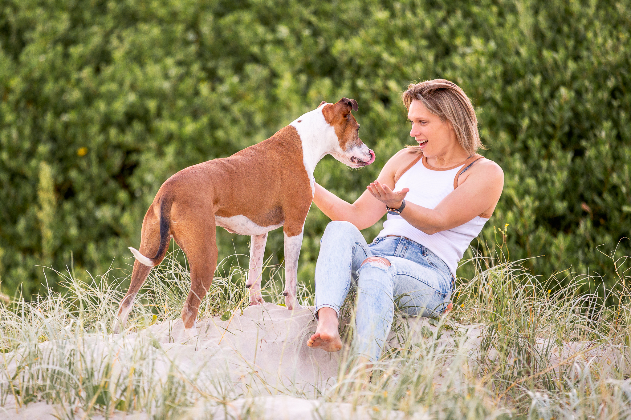 sonia m dog photographer